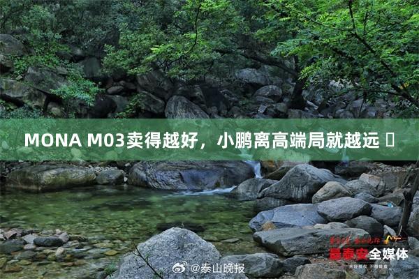 MONA M03卖得越好，小鹏离高端局就越远 ​