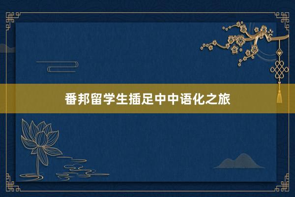 番邦留学生插足中中语化之旅