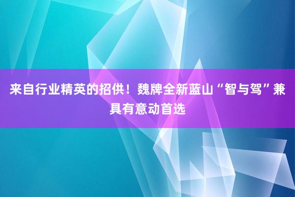 来自行业精英的招供！魏牌全新蓝山“智与驾”兼具有意动首选