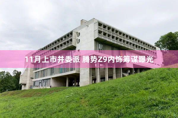 11月上市并委派 腾势Z9内饰筹谋曝光