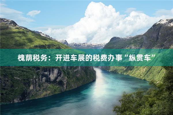 槐荫税务：开进车展的税费办事“纵贯车”
