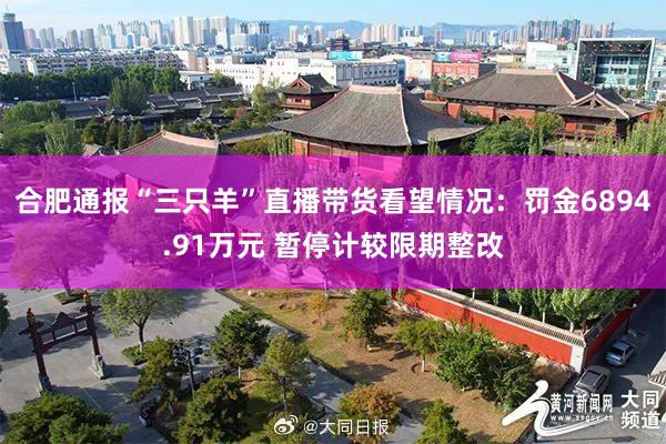 合肥通报“三只羊”直播带货看望情况：罚金6894.91万元 暂停计较限期整改