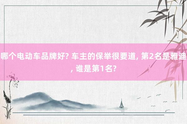 哪个电动车品牌好? 车主的保举很要道, 第2名是雅迪, 谁是第1名?