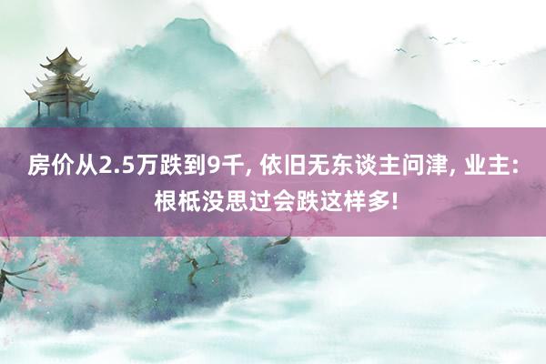房价从2.5万跌到9千, 依旧无东谈主问津, 业主: 根柢没思过会跌这样多!