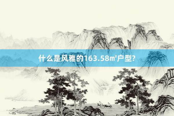 什么是风雅的163.58㎡户型?