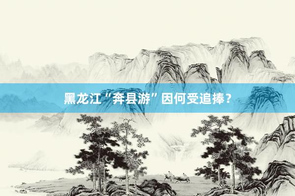 黑龙江“奔县游”因何受追捧？