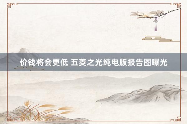 价钱将会更低 五菱之光纯电版报告图曝光