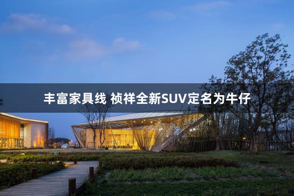 丰富家具线 祯祥全新SUV定名为牛仔